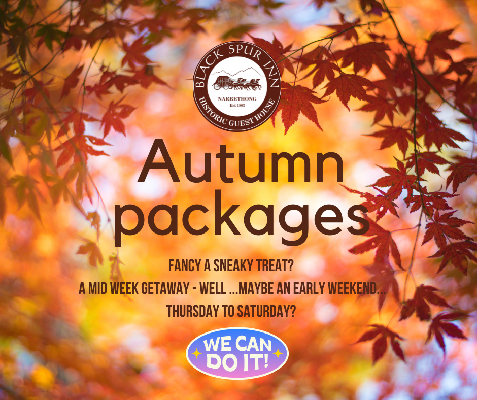 Autumn At Black Spur Inn - book direct and save with our packages!